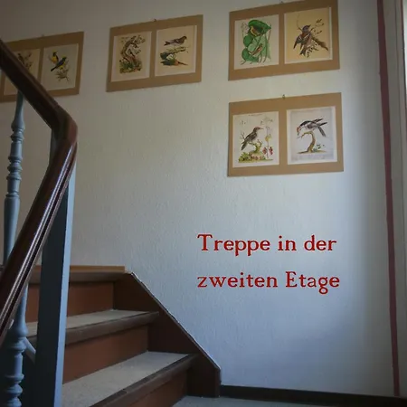 Tatil Evi Im Herzen Der Altstadt Von Naumburg-saale *